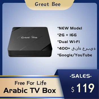 Great Bee Пожизненный Бесплатный Арабский ТВ-бокс Greatbee, Android 10 2G 16G Smart 4K Арабский Медиаплеер, Спутниковый Ресивер