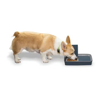PetSafe Digital Программируемая кормушка для домашних животных на 2 приема пищи, Автоматическая Кормушка для собак и кошек-Дозатор сухого или полусухого корма для домашних животных