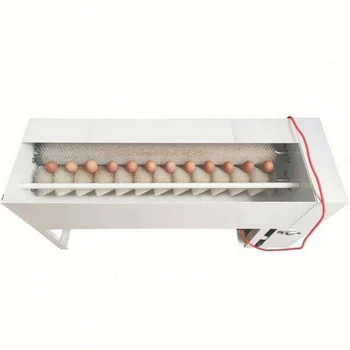 Высокоэффективная линия по переработке яиц с очисткой и сортировкой промышленной стиральной машины для куриных яиц