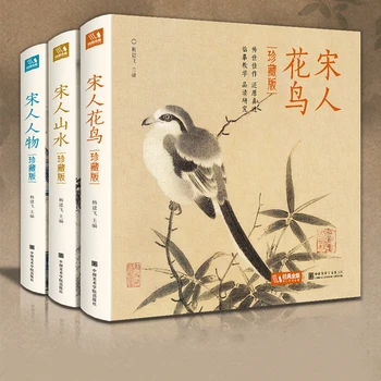 Китайская книга для рисования Династии Сун, Книга для тщательной коллекции живописи, Цветы, Птицы, Ландшафтные персонажи, Книги для оценки
